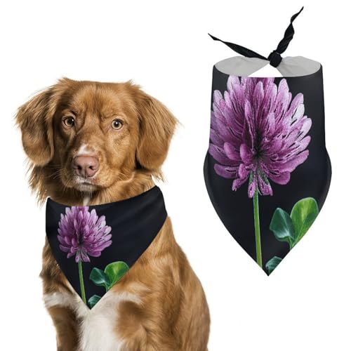 Dreamy Hundehalstücher mit Kleeblattmotiv, verstellbar, für Partys, Haustierdekorationen, niedlicher Dreieckstuch für kleine, mittelgroße Welpen, Katzen, Kostüm-Zubehör Dreamy Hundehalstücher mit Kleeblattmotiv, verstellbar, für Partys, Haustierdekorationen, niedlicher Dreieckstuch für kleine, mittelgroße Welpen, Katzen, Kostüm-Zubehör von Eekstdbn