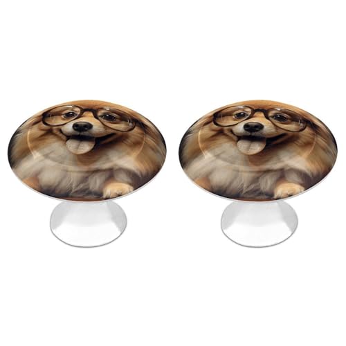 Eekstdbn Pomeranian Dog Wearing Glasses Cabinet Handles 2 Pack Dressing Table Drawer Handle Solid Drawer Handles Suitable for Kitchen, Bedroom, Bathroom and Bookcase von Eekstdbn