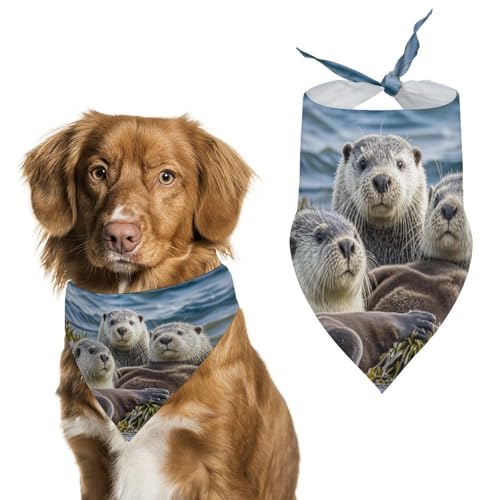 Sea Otter Hundehalstücher für Haustiere, verstellbar, für kleine und mittelgroße Welpen, Katzen, Kostüm-Zubehör Sea Otter Hundehalstücher für Haustiere, verstellbar, für kleine und mittelgroße Welpen, Katzen, Kostüm-Zubehör von Eekstdbn
