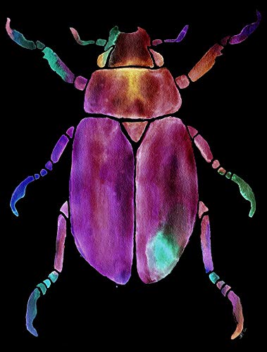 Eeypy Aquarell Käfer Kinderzimmer Dekor Aquarell Käfer Bunte Insektenkunst Metallschild Poster Wandschild Metallschild Kunst Blechschild von Eeypy