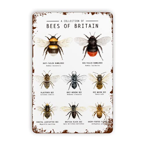 Eeypy Bienen des pädagogischen Klassenzimmers Wandkunst Heimschule Lernen durch die Natur Honigbiene Hummel Kunst Vintage Retro Metallschild Metallschild zum Aufhängen 20,3 x 30,5 cm von Eeypy