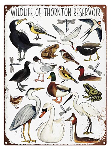 Eeypy Blechschild Küche Wildlife of Thornton Reservoir Print Wildlife Metallschild Natur Sammlung Illustration Kinderzimmer Druck Wildlife Print Metallschilder Lustig von Eeypy