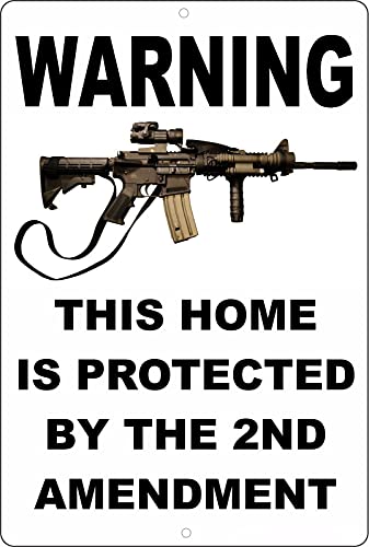 Eeypy Blechschild "Warning This Home is Protected by The Second Amendment", Metallschilder für den Außenbereich, 20,3 x 30,5 cm von Eeypy