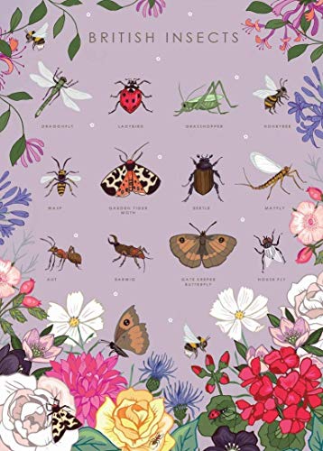 Eeypy Blechschild mit Aufschrift "Insekten und Garten", Botanischer Naturführer Eeypy Blechschild mit Aufschrift "Insekten und Garten", Botanischer Naturführer von Eeypy