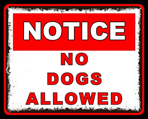 Eeypy Blechschild mit Aufschrift "Notice No Dogs Allowed", lustig, 20,3 x 30,5 cm von Eeypy