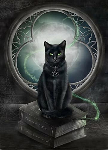 Eeypy Hexe Schwarze Katze Zauberbuch Fenster Mond Wandbehang Wohnzimmer Schlafzimmer Metall Blechschild Poster Wandschild von Eeypy