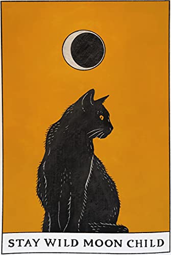 Eeypy Metall-Blechschild mit schwarzer Katze, Motiv: "Stay Wild Moon Child", Wandschild von Eeypy