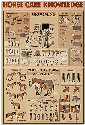 Eeypy Metall Poster Ständer Pferd Pflege Wissen Blechschild Wandkunst Retro Blechschild Metall Poster für Home Bar Cafe Garage Vintage Metallschilder Lustig von Eeypy