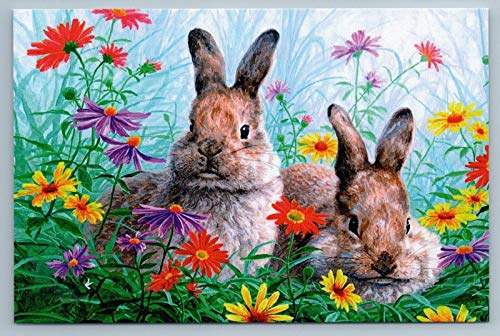 Eeypy Metall Wandschild Hase Kaninchen Hase im Sommer Garten Blumen Retro Blechschild Metallschild von Eeypy
