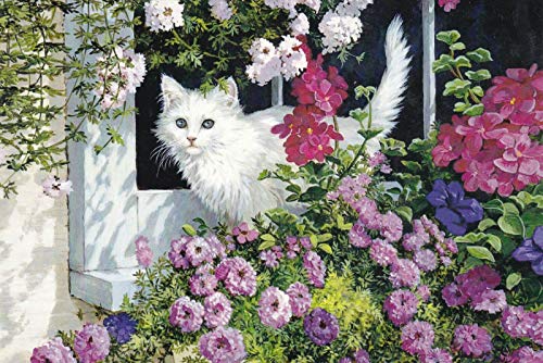 Eeypy Metallschild Kunst Blechschild Sommer Fenster Weiße Katze in Blumen Wandkunst Poster Metallplaketten von Eeypy