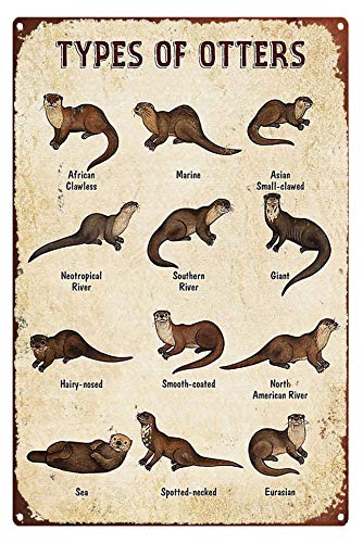 Eeypy Metallschild Post Otter Typen Metallschild Moderne Natur Wanddekoration für Schlafzimmer Badezimmer Wohnzimmer Metall Blechschild Metallschild von Eeypy
