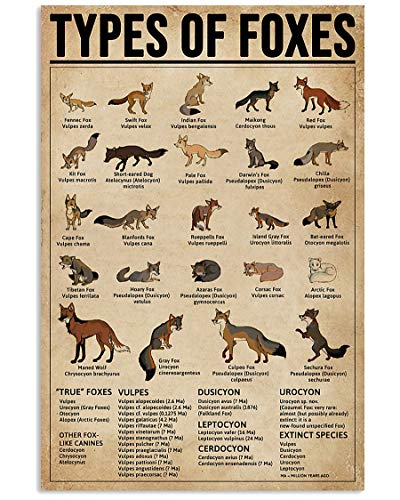 Eeypy Retro Blechschild Küche Arten von Füchsen Wissen Blechschild Wandkunst Retro Blechschild Metallposter für Zuhause Bar Cafe Garage Vintage Blechschild Badezimmer von Eeypy