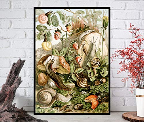 Eeypy Schnecke Wandbehang Nagel Wandschild Blechschild Blechschild Vintage Blechschild Retro Vintage Metall von Eeypy