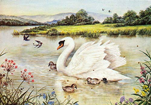 Eeypy Tolles Blechschild, Aluminium, Metallschild, Fluss im Sommer, Vintage-Stil, Wandkunst von Eeypy