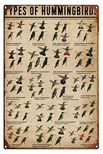 Eeypy Vintage Metallschilder für Männerhöhle Arten von Kolibri Metallschild Blechschild Fotodruck Wandkunst Blechschild Malerei Wandbehänge Raumkunst Dekor Vintage Blechschild Badezimmer Eeypy Vintage Metallschilder für Männerhöhle Arten von Kolibri Metallschild Blechschild Fotodruck Wandkunst Blechschild Malerei Wandbehänge Raumkunst Dekor Vintage Blechschild Badezimmer von Eeypy