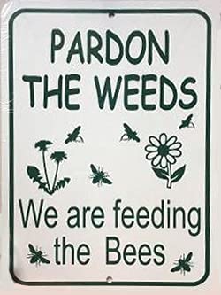 Eeypy Warnschild "Pardon The Weeds We are Feeding The Bees", lustiges Aluminium-Blechschild für Garage, 20,3 x 30,5 cm Eeypy Warnschild "Pardon The Weeds We are Feeding The Bees", lustiges Aluminium-Blechschild für Garage, 20,3 x 30,5 cm von Eeypy