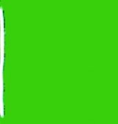 EFCOLOR - Farbschmelzpulver 25 ml 29 Volltonfarben(hellgrün) von efco