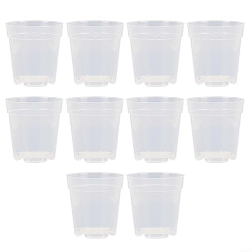 EffiFish 10 transparente Blumentöpfe mit Ablauflöchern, Kunststoff, für Kinderzimmer, transparent, für Orchideen, Sukkulenten, Kräuter (17 cm) von EffiFish