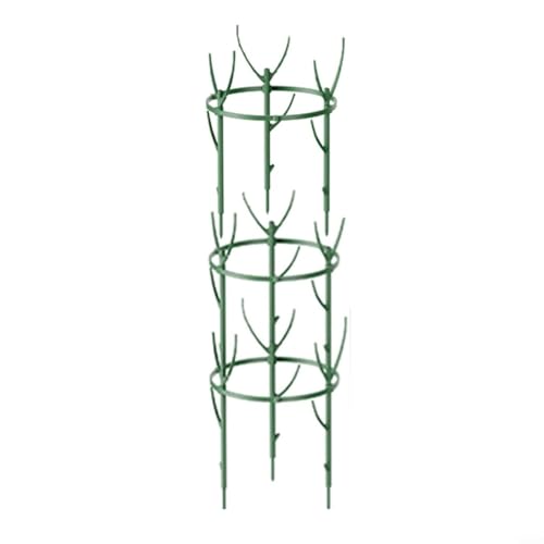 EffiFish Gartenpflanzen-Stützringe, Metallspalier mit Heringen zum Klettern von Gemüse, Blumen, Innen- und Außenbereich, Pflanzenstütze (dreilagig) von EffiFish