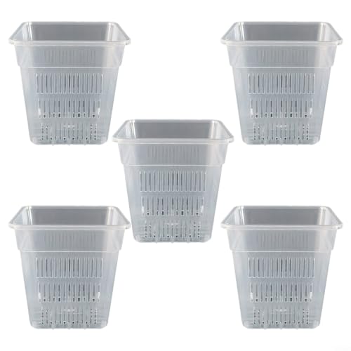 EffiFish Transparente Blumentöpfe, Orchideen-Anzuchttöpfe, durchsichtig, quadratisch, Behälter mit Belüftungslöchern, Pflanzenwurzelentwicklung, Überwachungssystem (12 cm ohne Tablett) von EffiFish