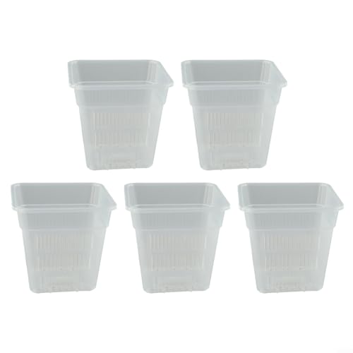 EffiFish Transparente Blumentöpfe, Orchideen-Anzuchttöpfe, durchsichtig, quadratisch, Behälter mit Belüftungslöchern, Pflanzenwurzelentwicklung, Überwachungssystem (15 cm ohne Tablett) von EffiFish