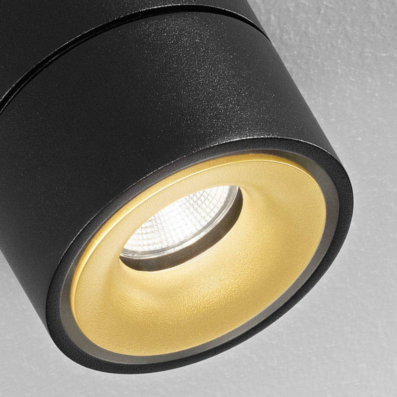 Egger Clippo Duo LED-Spot, schwarz-gold, 3.000K von Egger Licht