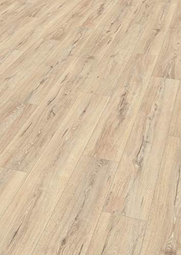 EGGER Home Laminatboden Aqua+ EHL170 Chester Eiche beige (8mm, 1,995m²) | authentische Holzoptik | | Einfache Verlegung durch CLIC It! System | Wasserresistent & feuchtraumgeeignet von Egger