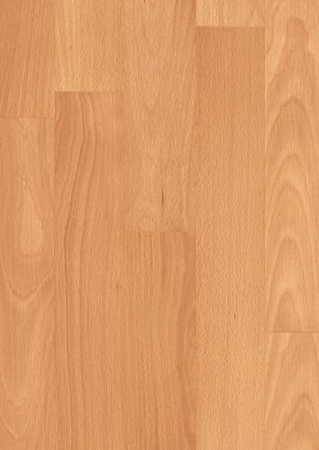 Muster EGGER NatureSense Laminat EL1030 Buche SB rustikal 297x193mm von Egger