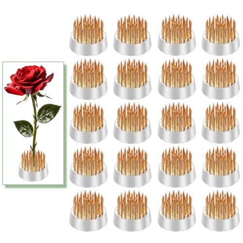 Mini Kenzan Pin Frosch 23 mm Durchmesser Blumen Ikebana-Blumengesteck Halter für kleine Vase (20 Stück) von Eggone