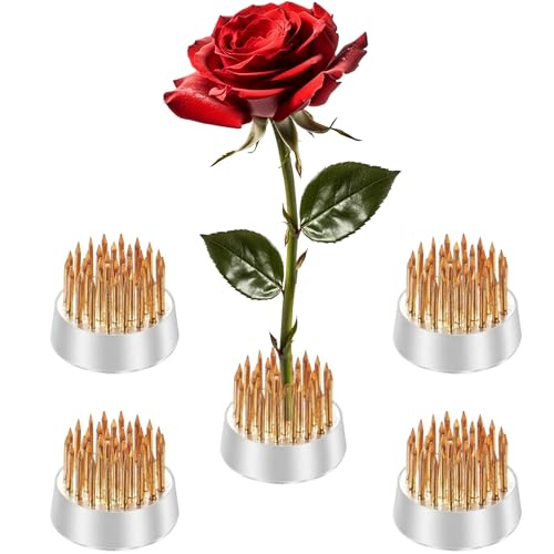 Mini Kenzan Pin Frosch 23 mm Durchmesser Floral Ikebana-Blumengesteck Halter für kleine Vase (5 Stück) von Eggone