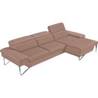 Egoitaliano Ecksofa "Princess, elegantes Designsofa mit erstklassigem Sitzkomfort, L-Form", mit Recamiere, inkl. Kopfteilverstellung, edle Designmetallfüße Egoitaliano Ecksofa "Princess, elegantes Designsofa mit erstklassigem Sitzkomfort, L-Form", mit Recamiere, inkl. Kopfteilverstellung, edle Designmetallfüße von Egoitaliano