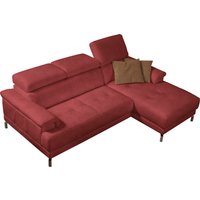 Egoitaliano Ecksofa "Soul, Design und Sitzkomfort auf hohem Niveau, tolle Details, L-Form" mit Recamiere, inkl. Kopfteilverstellung Egoitaliano Ecksofa "Soul, Design und Sitzkomfort auf hohem Niveau, tolle Details, L-Form" mit Recamiere, inkl. Kopfteilverstellung von Egoitaliano