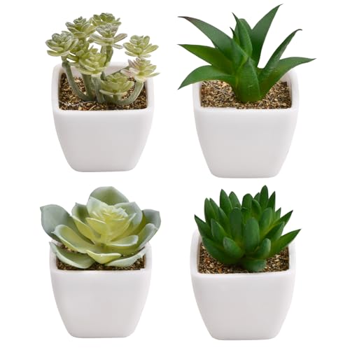 Ehuihuan Sukkulenten Künstlich, Kunstpflanze Klein, Dekopflanzen, Kunst Pflanzen, Plastikpflanzen, Mini Künstliche Unechte Pflanzen wie Echt, Künstliche Grünpflanzen im Topf, Fake Plants 4PCS Ehuihuan Sukkulenten Künstlich, Kunstpflanze Klein, Dekopflanzen, Kunst Pflanzen, Plastikpflanzen, Mini Künstliche Unechte Pflanzen wie Echt, Künstliche Grünpflanzen im Topf, Fake Plants 4PCS von Ehuihuan