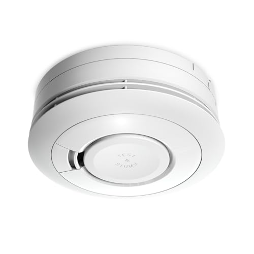 Ei Electronics Professional Ei650iW Rauchwarnmelder, i-Serie Rauchmelder mit AudioLINK-Funktion und Batterie für 10 Jahre, optional funkvernetzbar, weiß von Ei Electronics