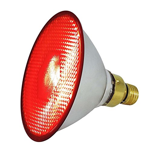 EIDER Energiespar Infrarotlampe für Wärmestrahlgerät - 175 W - Top Qualität (175 Watt) von Eider Landgeräte GmbH