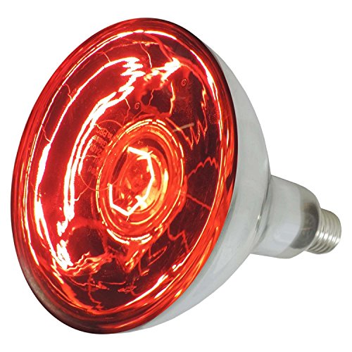 Eider Landgeräte GmbH EIDER Infrarotlampe 150 - und 250 Watt auswählbar - Wärmelampe E27 - Top Qualität (150 Watt) von Eider Landgeräte GmbH