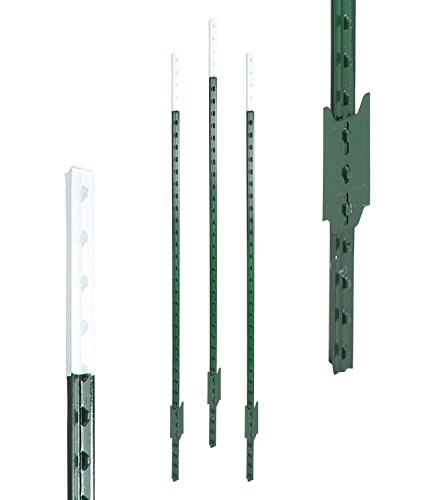 Eider Landgeräte GmbH T-Pfosten 213 cm, grün lackiert, 30 Stück, Hochwertige Qualität - nahezu unverwüstlich von Eider Landgeräte GmbH