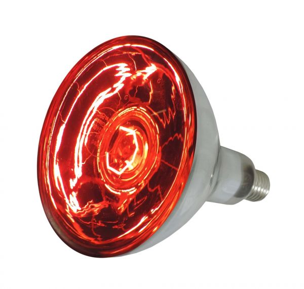 Eider Infrarotlampe, rot, 150 Watt, für Infrarot-Aufzuchtstrahler, ... von Eider
