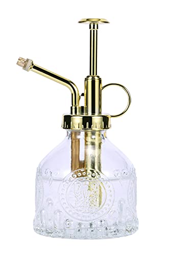 Eidoct Glas-Pflanzennebel-Sprühflasche, 16.5 cm, klares Glas, Wassersprühflasche mit goldfarbener Pumpe, kleine Gießkanne, Zimmerpflanze, klar + gold (klar + goldfarben) von Eidoct