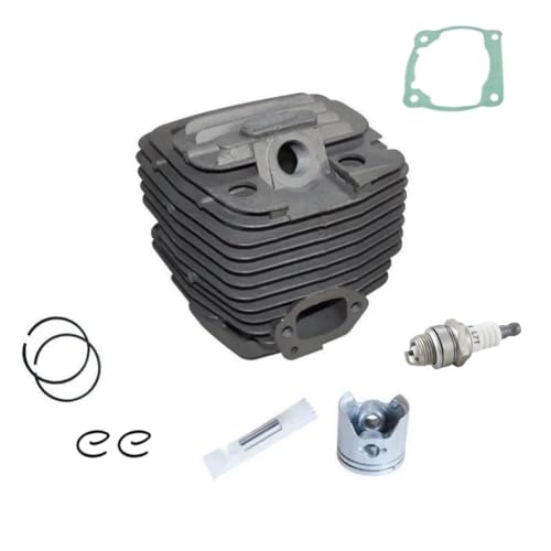 Eieenotee 47,5 mm G621 Zylinderkolbenlager-Dichtungssatz, Universell Passend für G621AVS G620 G620PU 6200 62CC Topsun von Eieenotee
