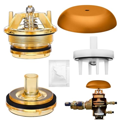 Eieenotee 5 Pack 905-212 Motorhauben- und Popet-Reparatur-Kit mit 1 "und 1-1/4" Modell 765 Rückströmungsverhinderung Eieenotee 5 Pack 905-212 Motorhauben- und Popet-Reparatur-Kit mit 1 "und 1-1/4" Modell 765 Rückströmungsverhinderung von Eieenotee