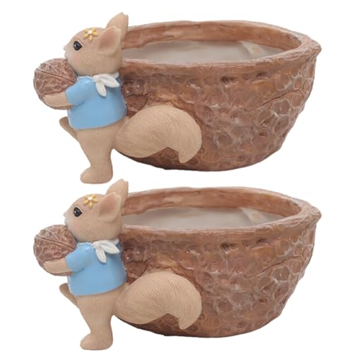 Eieenotee Eichhörnchen-Nuss-Garten-Blumentopf Aus Kunstharz für Den Schreibtisch, Gartenarbeit, Saftige Topfpflanze, Grüne Pflanze, Dekoration, Walnüsse von Eieenotee