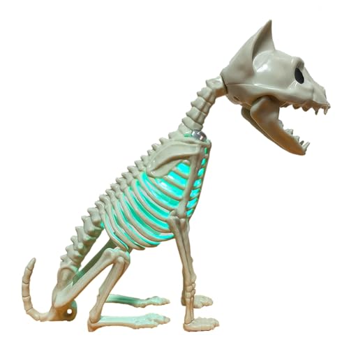 Eieenotee Halloween-Katzenstatue, Skelett-Ornament-Modell mit Licht, ?sthetisches Desktop-Bastel-Tierstatue f¨¹r Schrank, B¨¹cherregal Eieenotee Halloween-Katzenstatue, Skelett-Ornament-Modell mit Licht, ?sthetisches Desktop-Bastel-Tierstatue f¨¹r Schrank, B¨¹cherregal von Eieenotee