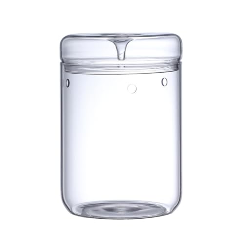 Eieenotee Mikro-Landschaftsglasterrarium mit Tausammeldeckel, Bonsai-Vase Aus Glas, Mikroskopische Landschaft, Ökologische Flasche L Eieenotee Mikro-Landschaftsglasterrarium mit Tausammeldeckel, Bonsai-Vase Aus Glas, Mikroskopische Landschaft, Ökologische Flasche L von Eieenotee