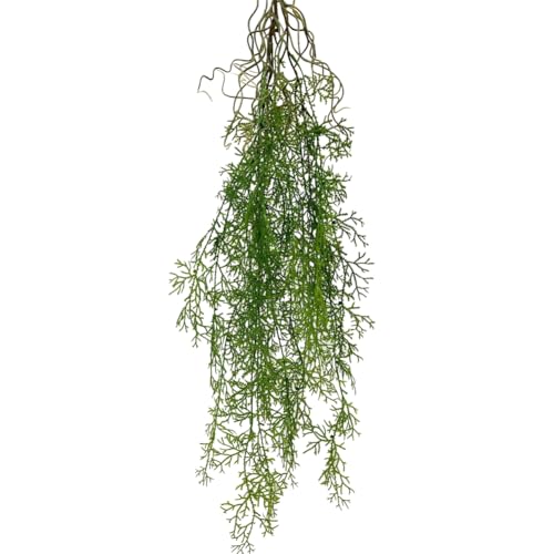 Eieenotee Simulation Von Hängenden Grünen Reben und Grünem Gras, Künstliche Reben, Efeu, Hängende Grüne Pflanzen, Gartenwanddekoration A Eieenotee Simulation Von Hängenden Grünen Reben und Grünem Gras, Künstliche Reben, Efeu, Hängende Grüne Pflanzen, Gartenwanddekoration A von Eieenotee