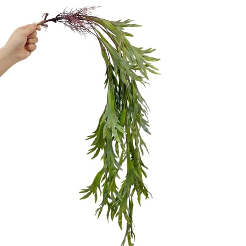 Eieenotee Simulation Von Hängenden Grünen Reben und Grünem Gras, Künstliche Reben, Efeu, Hängende Grüne Pflanzen, Gartenwanddekoration C Eieenotee Simulation Von Hängenden Grünen Reben und Grünem Gras, Künstliche Reben, Efeu, Hängende Grüne Pflanzen, Gartenwanddekoration C von Eieenotee