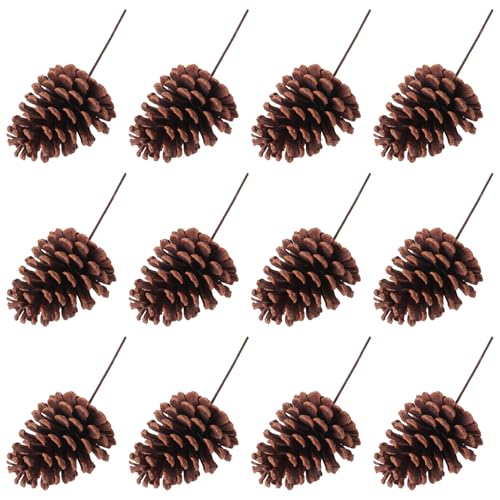 Eighosee 12 Stück Natürliche Tannenzapfen-Picks, Mittelgroße Tannenzapfen-Picks mit Verdrahteten Stielen, 21 cm Hoch für Weihnachten A Eighosee 12 Stück Natürliche Tannenzapfen-Picks, Mittelgroße Tannenzapfen-Picks mit Verdrahteten Stielen, 21 cm Hoch für Weihnachten A von Eighosee