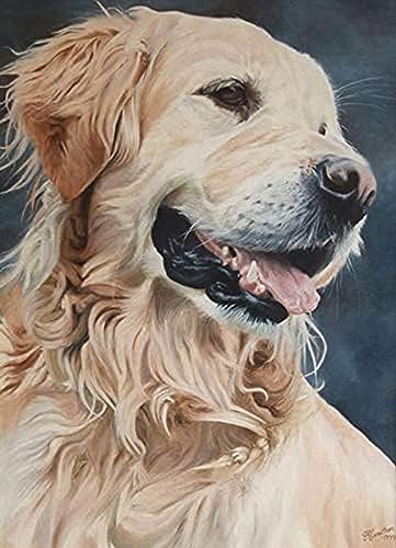 Eiialerm Erwachsene Stickerei Kreuzstich süßer Golden Retriever 11CT Vorgedruckte Leinwand Kreuzstich Set AnfäNger Stickbilder, für Wandkunst-Heimdekoration 40X50cm von Eiialerm