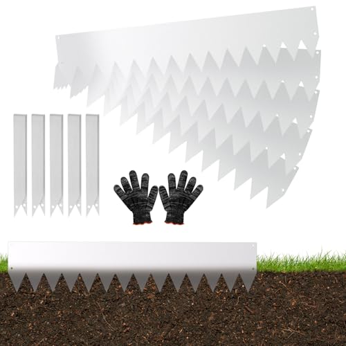 Eikuavons Rasenkante Metall, 100x20cm Beeteinfassung mit scharfen Sägezähnen, Flexible Rasenkante Mähkant Palisade mit Clips und Handschuhe, Silber (Länge 5m - Höhe 20cm) von Eikuavons