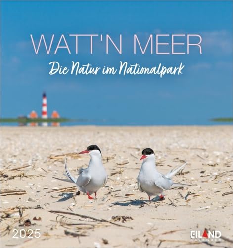 Watt'n Meer Postkartenkalender 2025 - Die Natur im Nationalpark: Der Nationalpark Wattenmeer in einem Fotokalender im Postkartenformat. Kleiner ... 12 Postkarten. (Postkartenkalender Eiland) von Eiland